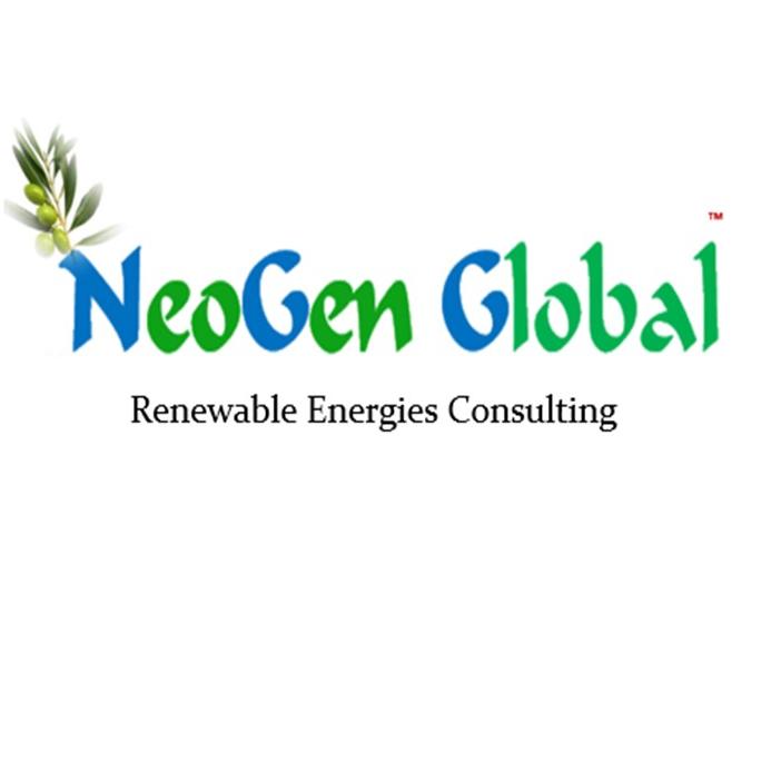 NeoGen Global for New Energies Sustainability Advisory - Constructibility