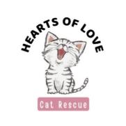 Hearts of Love Cat Rescue & Adoption