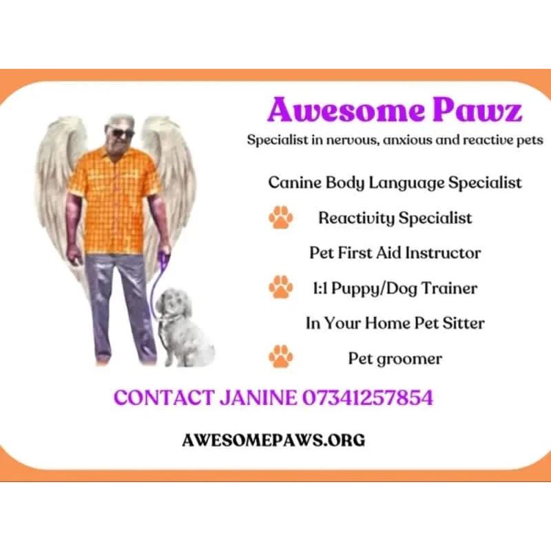 Awesome Pawz