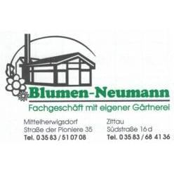 Blumen-Neumann GbR