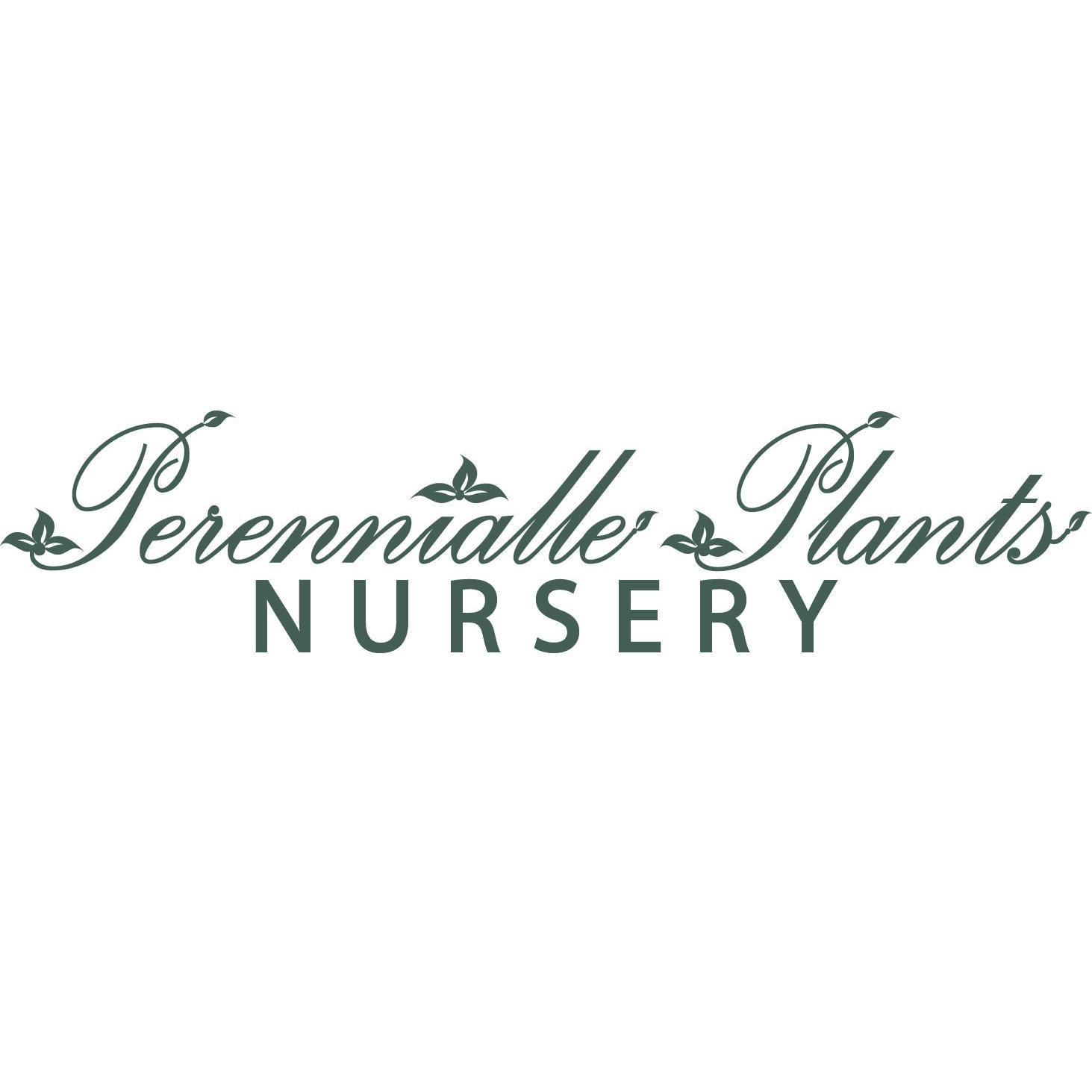 Perennialle Plants Nursery, Cafe and Emporium