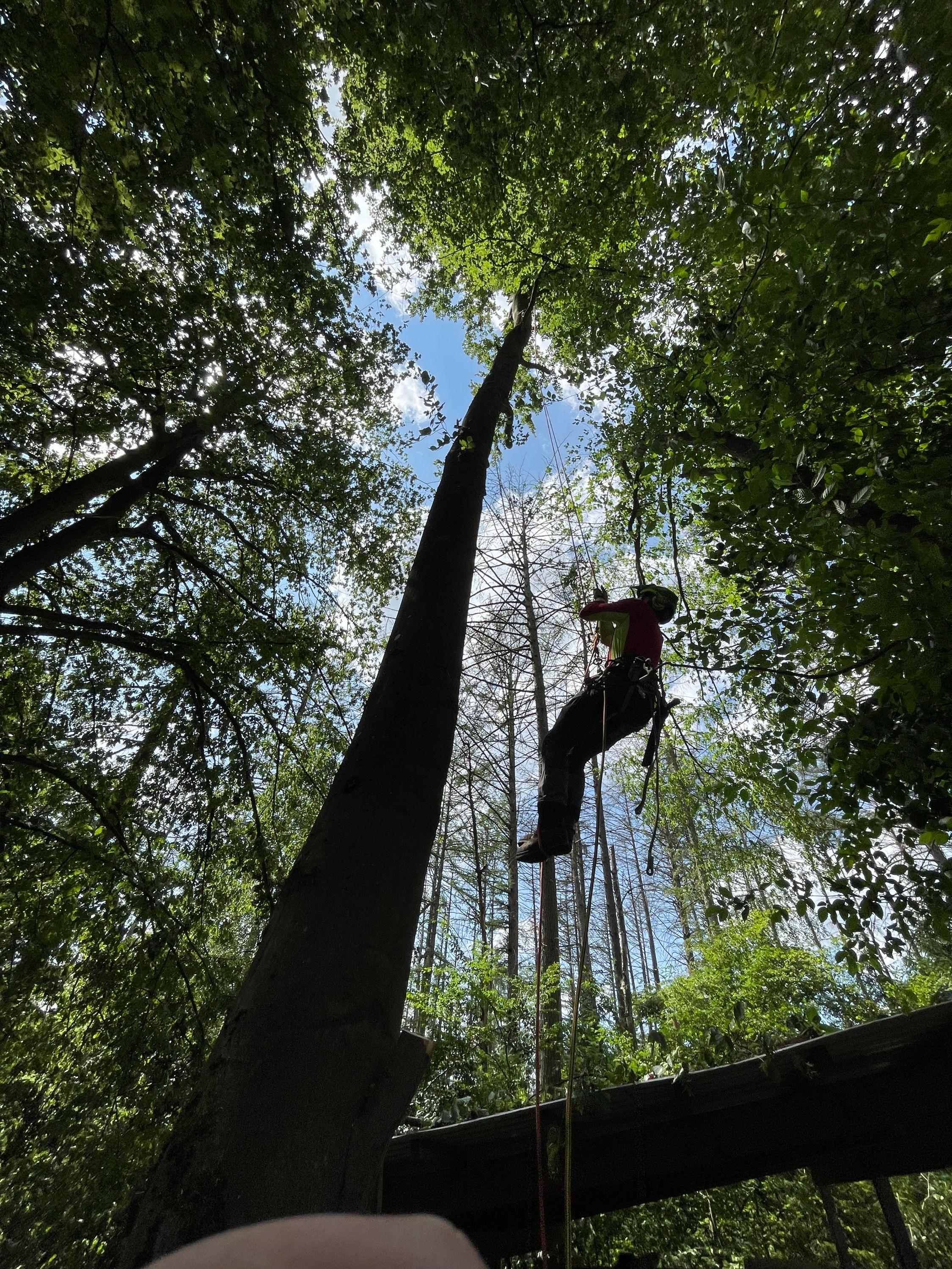 Forstbetrieb F. Boving