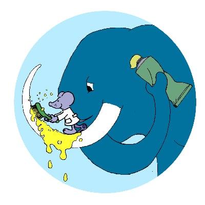 Kinder- und Jugendzahnärztin Dr. Anne-Katrin Zirngibl