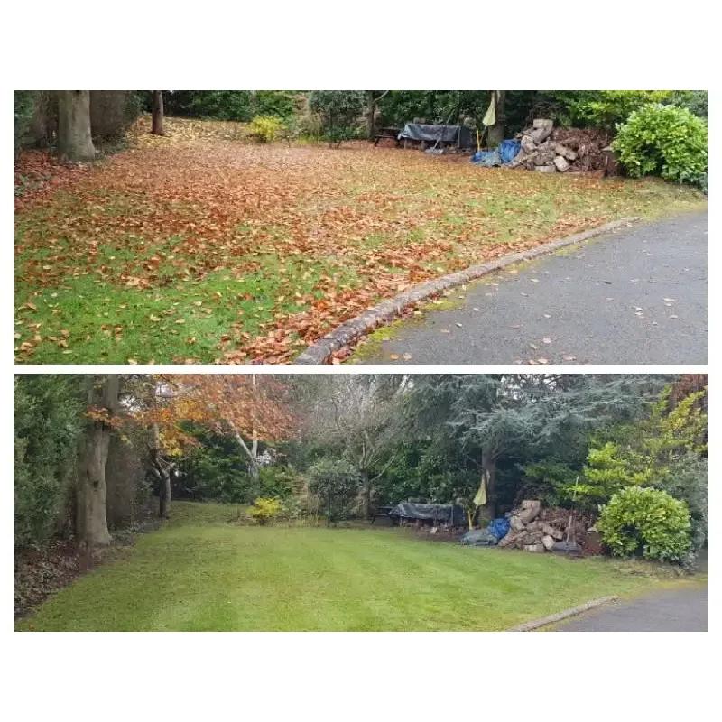 P Raitt Garden Maintenance