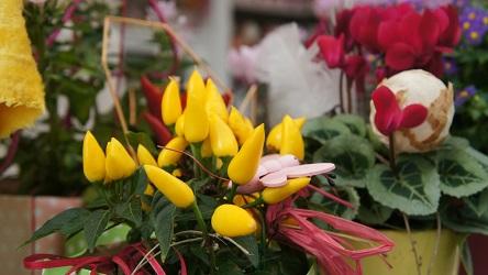 Olivers Blumenmanufaktur in Haar