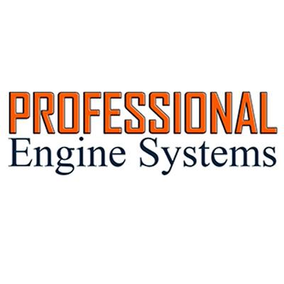 Professional Engine Systems Inc