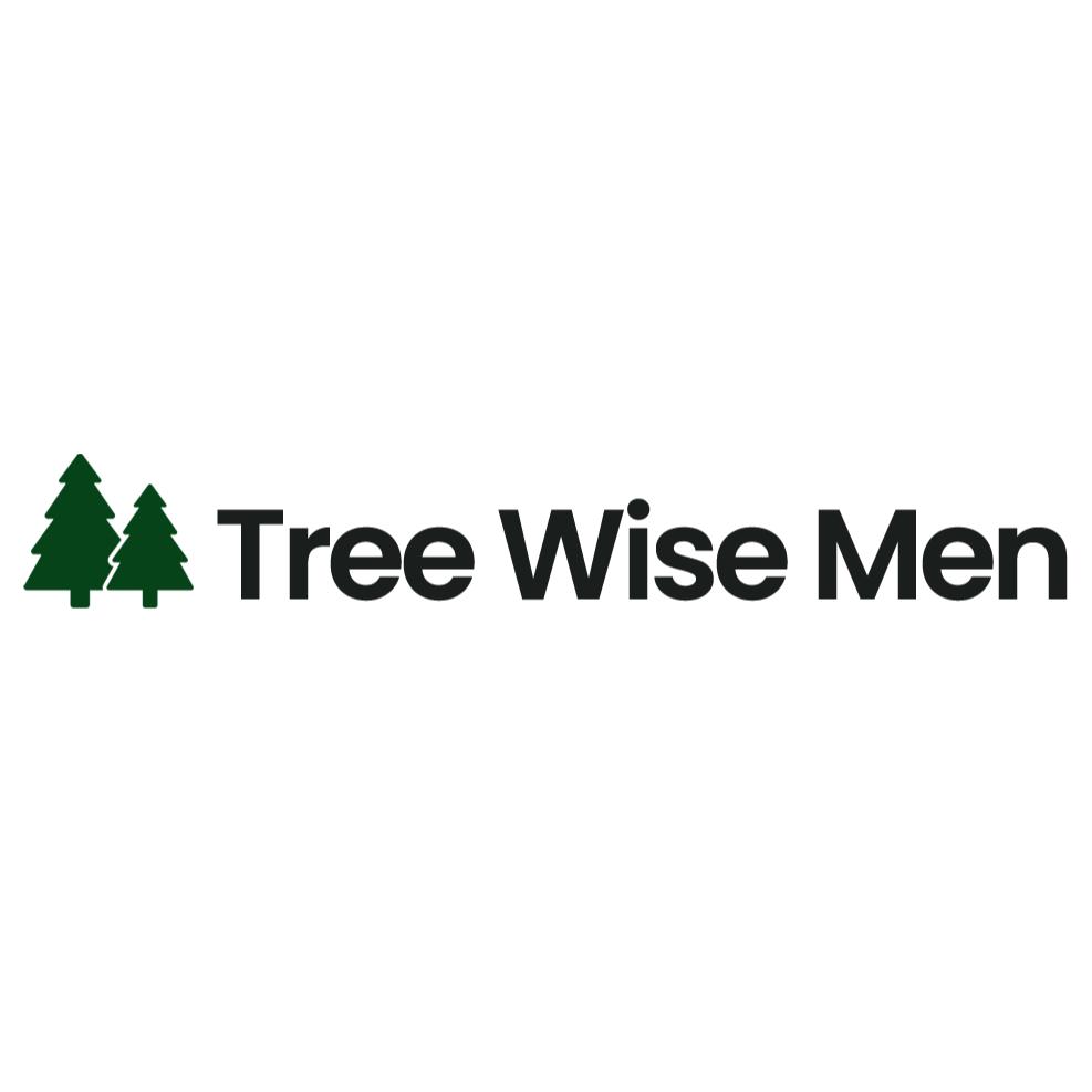Tree Wise Men