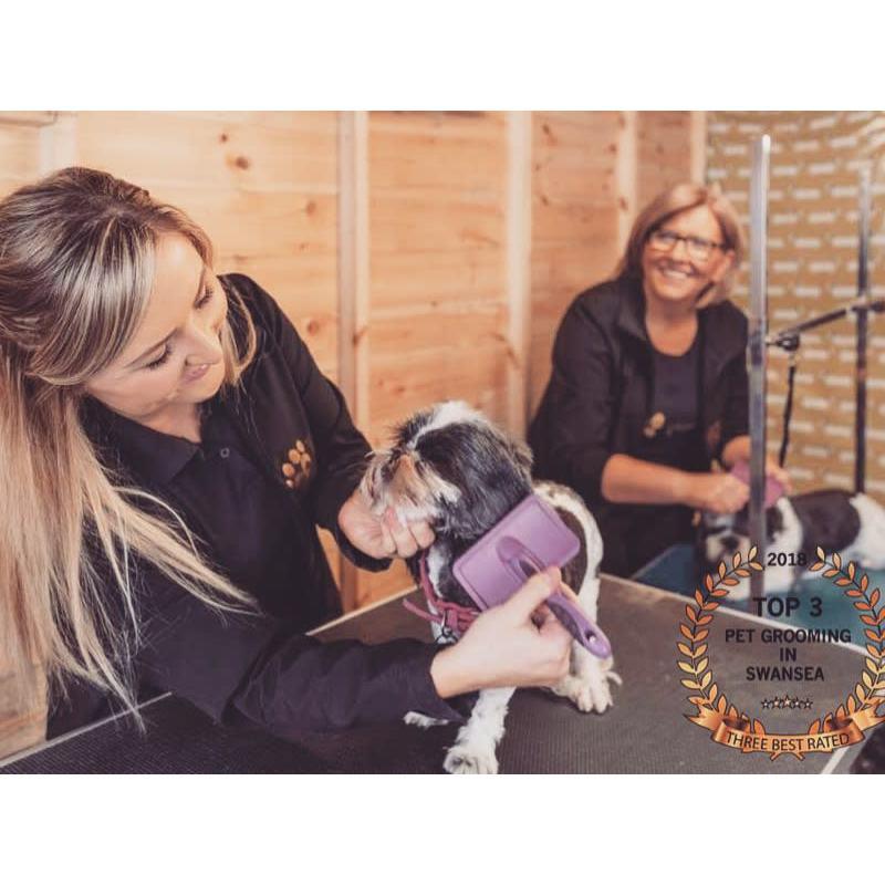 Short Bark & Sides Dog Grooming with Day Care