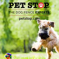 Hidden Pet Fence of Albany