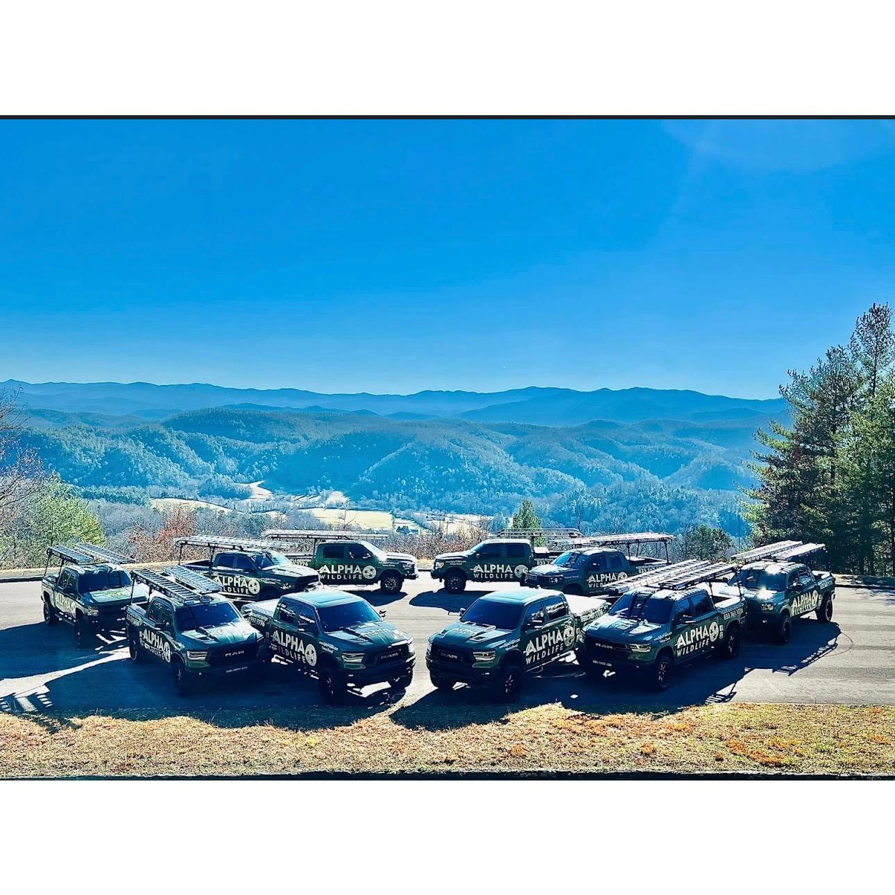 Alpha Wildlife Chattanooga