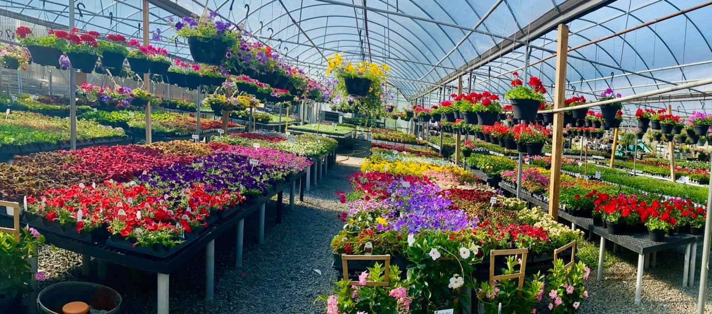 Fairfield Farms & Greenhouses