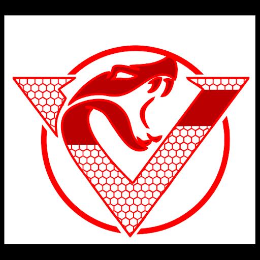 Viper's Den Jiu-Jitsu