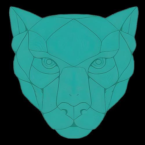 Agence Web Linkeo Toulouse