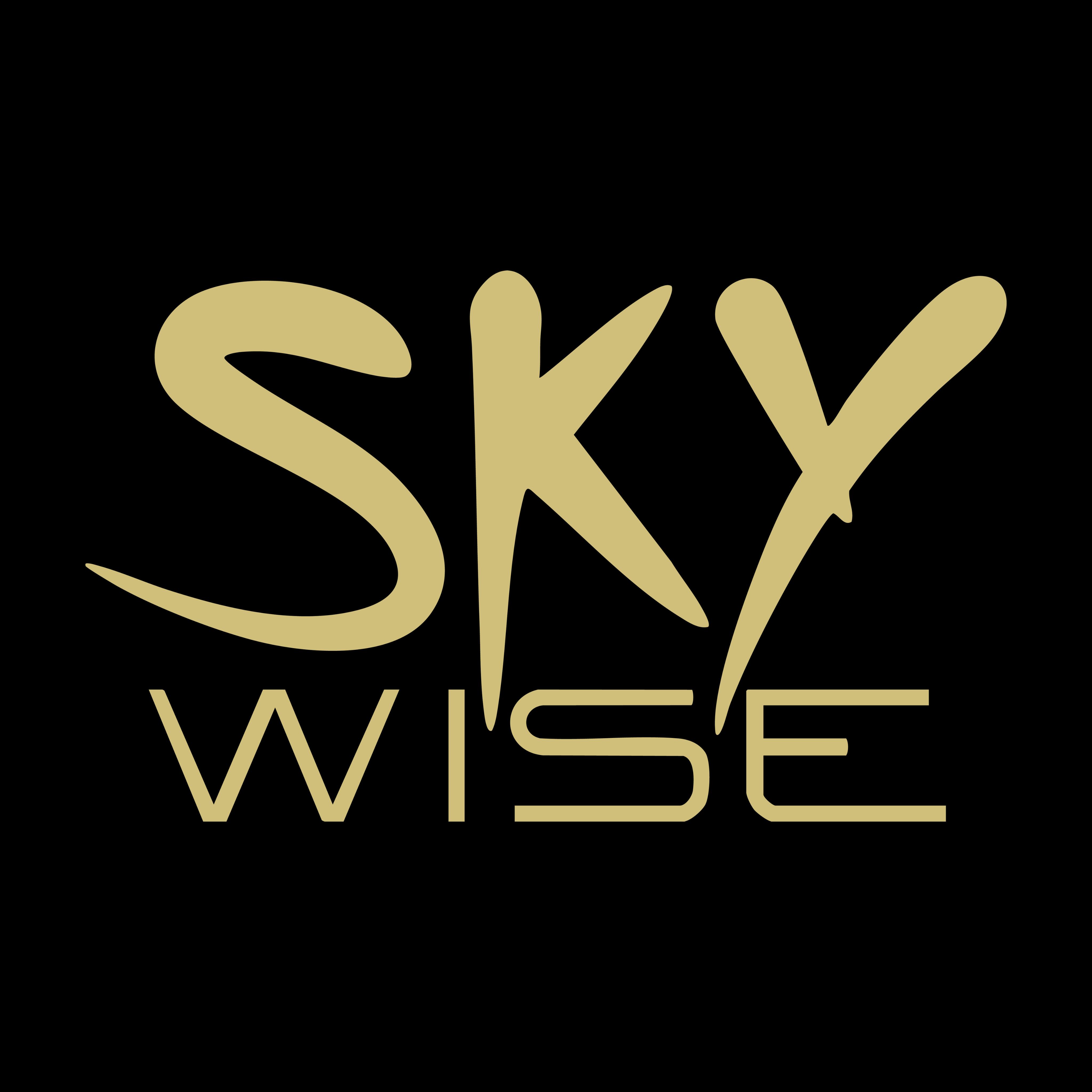Sky Wise Lounge