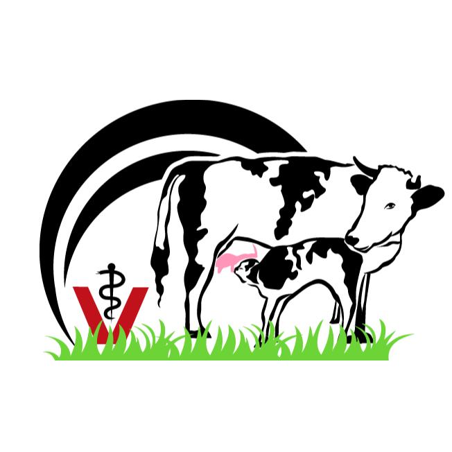 Praktischer Tierarzt