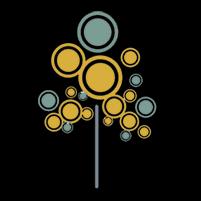 Healthpark Medical Center Inc.