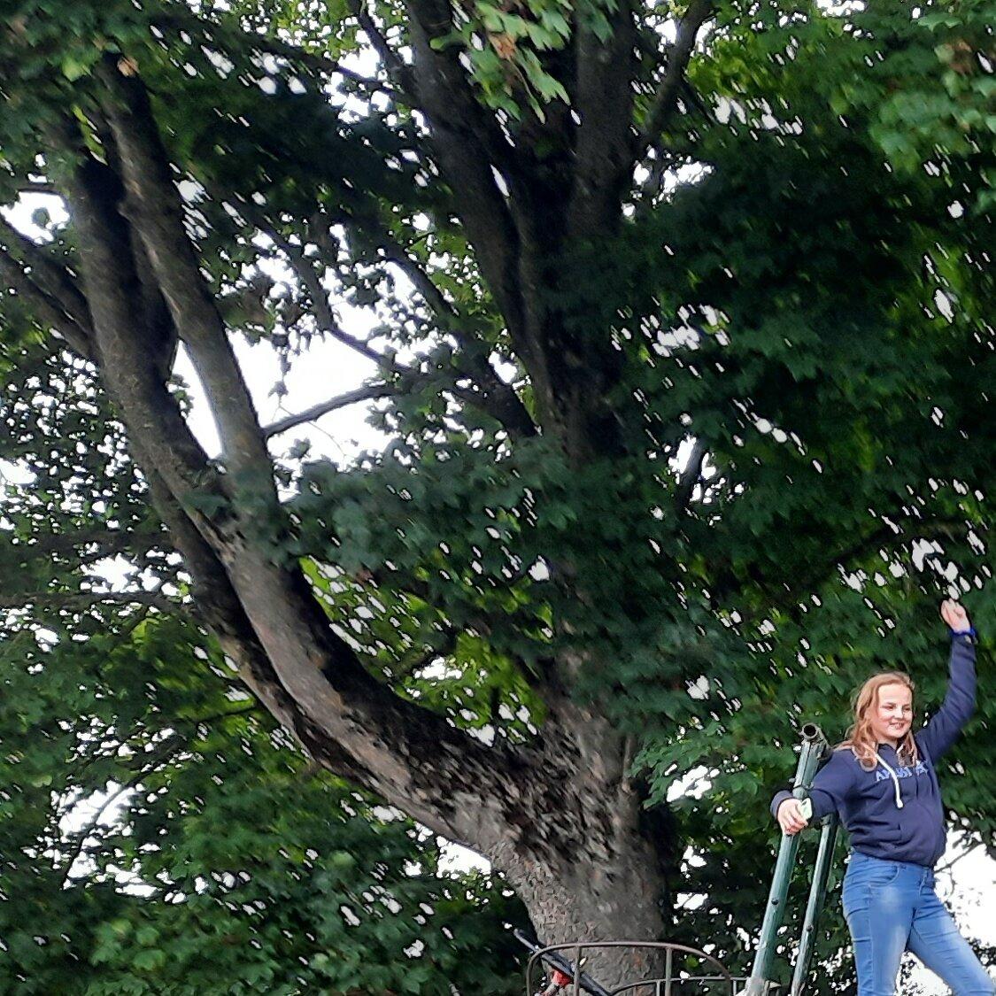 Ferien- und Ponyhof Eberhart - Hermann Eberhart