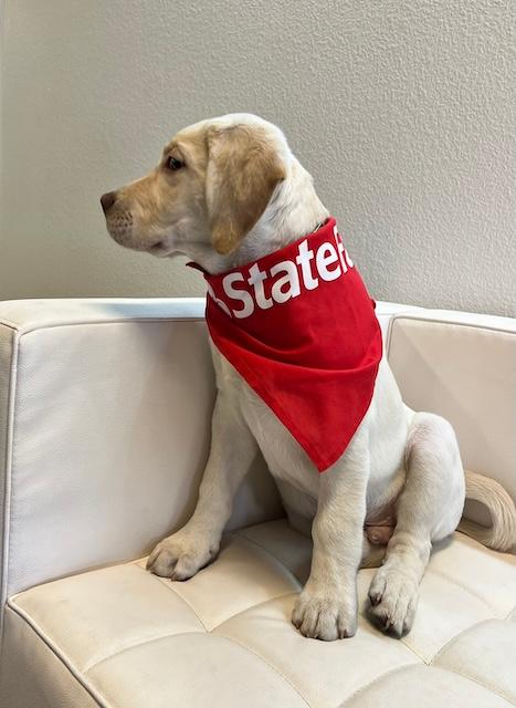 Doug Brown - State Farm Insurance Agent