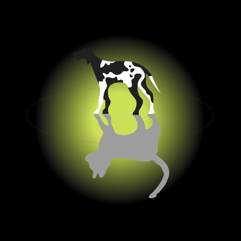 Dierenartsenpraktijk Groesbeek, Beek, Malden, Millingen a/d Rijn, Milsbeek