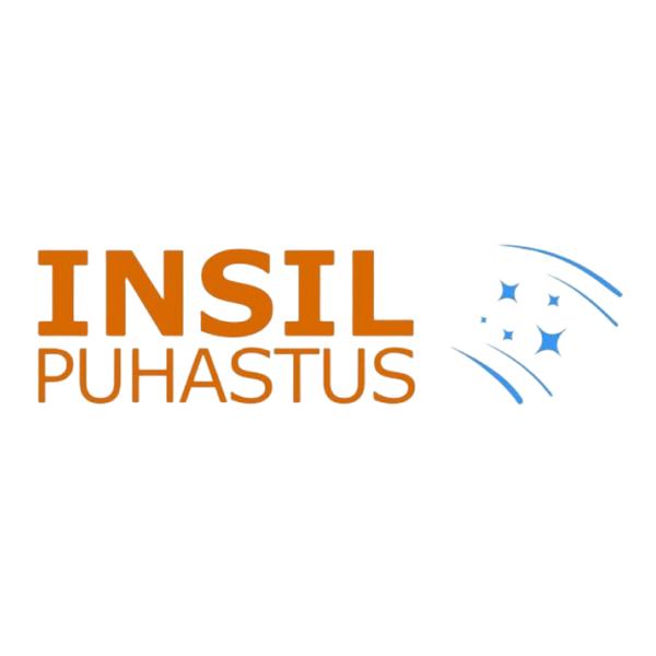 Insil Puhastus