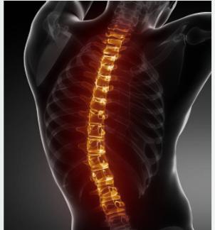 Lawless Chiropractic