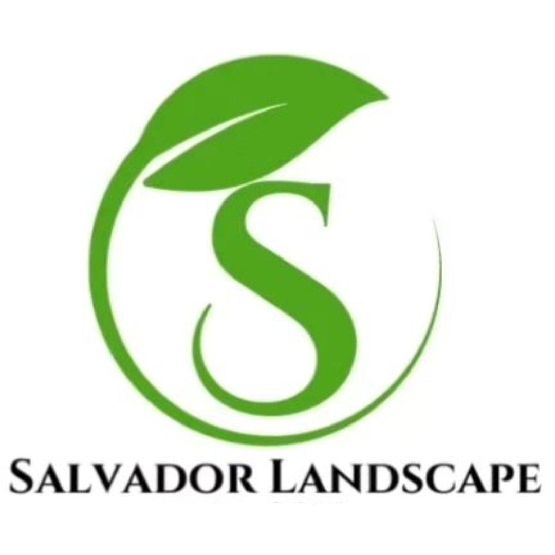 Salvador Landscape