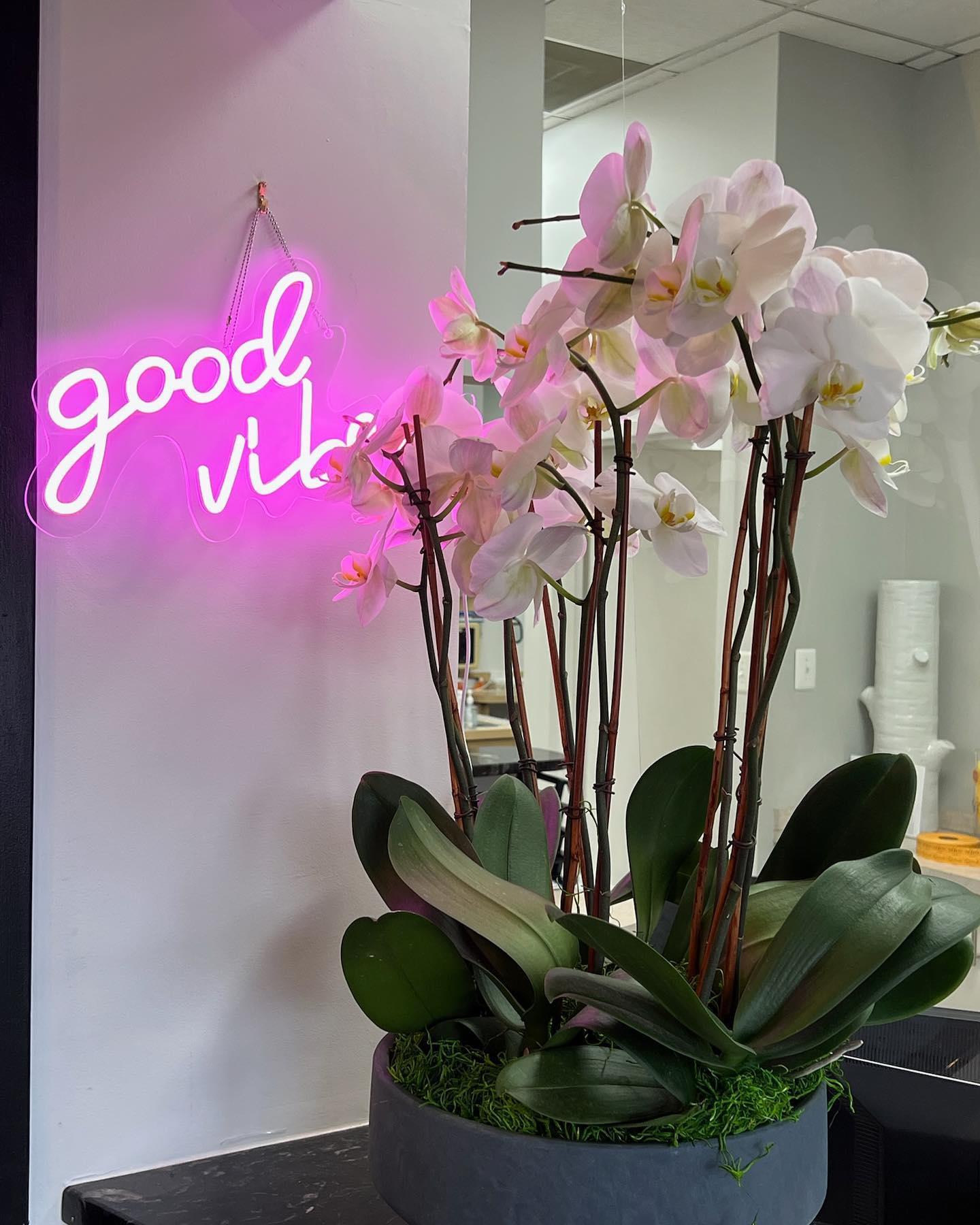 Centreville Dental Wellness Center