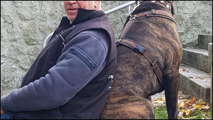 Hundeschule RolfsRudel Rolf Matar