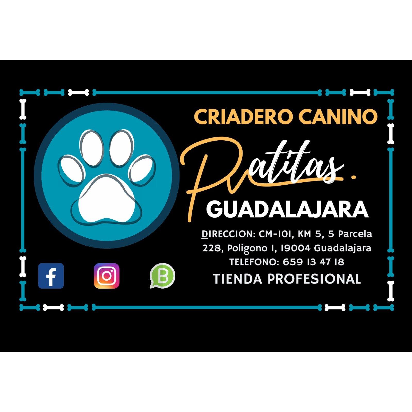 Criadero Canino Patitas