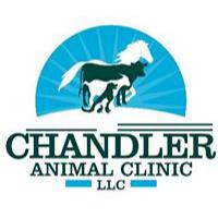 Chandler Animal Clinic