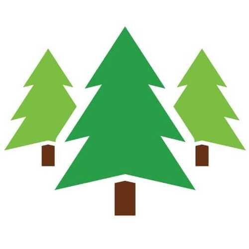 Durham Forestry Mulching Land Clearing and Stump Grinding