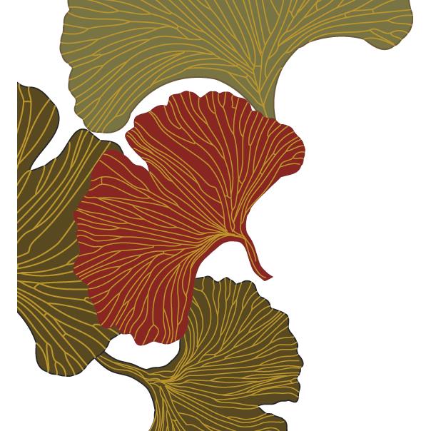 Praxis für traditionelle chinesische Medizin - Barbara Schatt