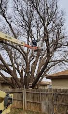 Flatlanders Tree Service