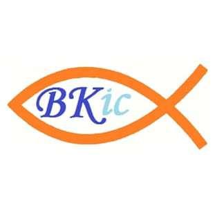BKIC Ltd