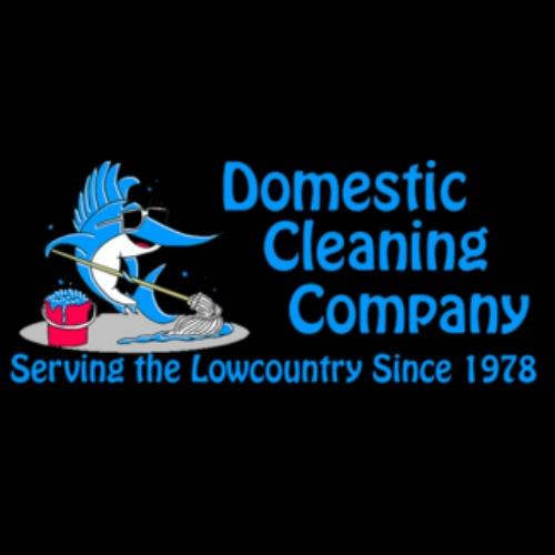 Domestic Cleaning Company