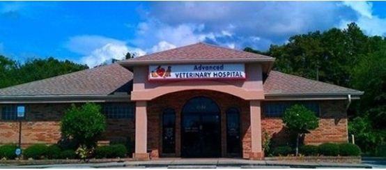 Advanced Veterinary Hospital