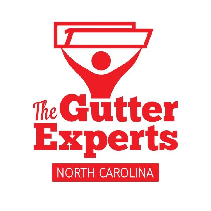 The Gutter Experts