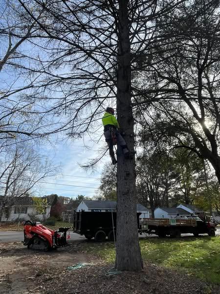 Ascend Tree Service, LLC