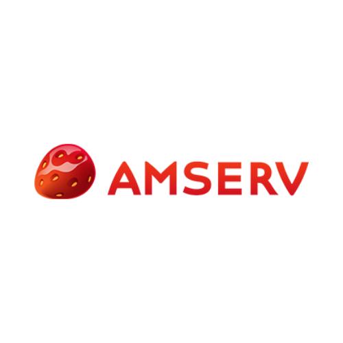 Amserv Paide