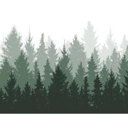 Lesní společnost Prylovi s.r.o.