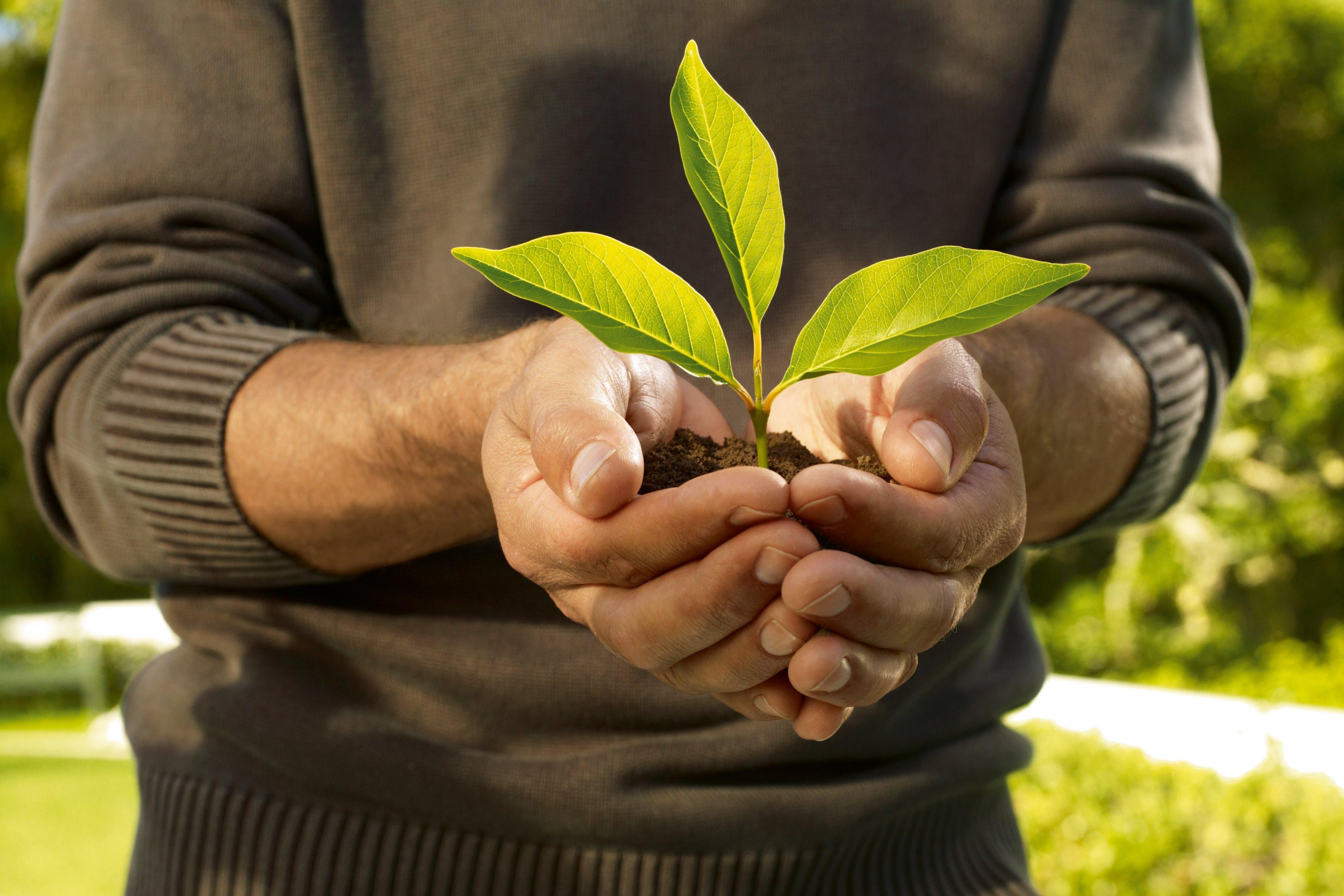 AOK Rheinland-Pfalz/Saarland - Worms