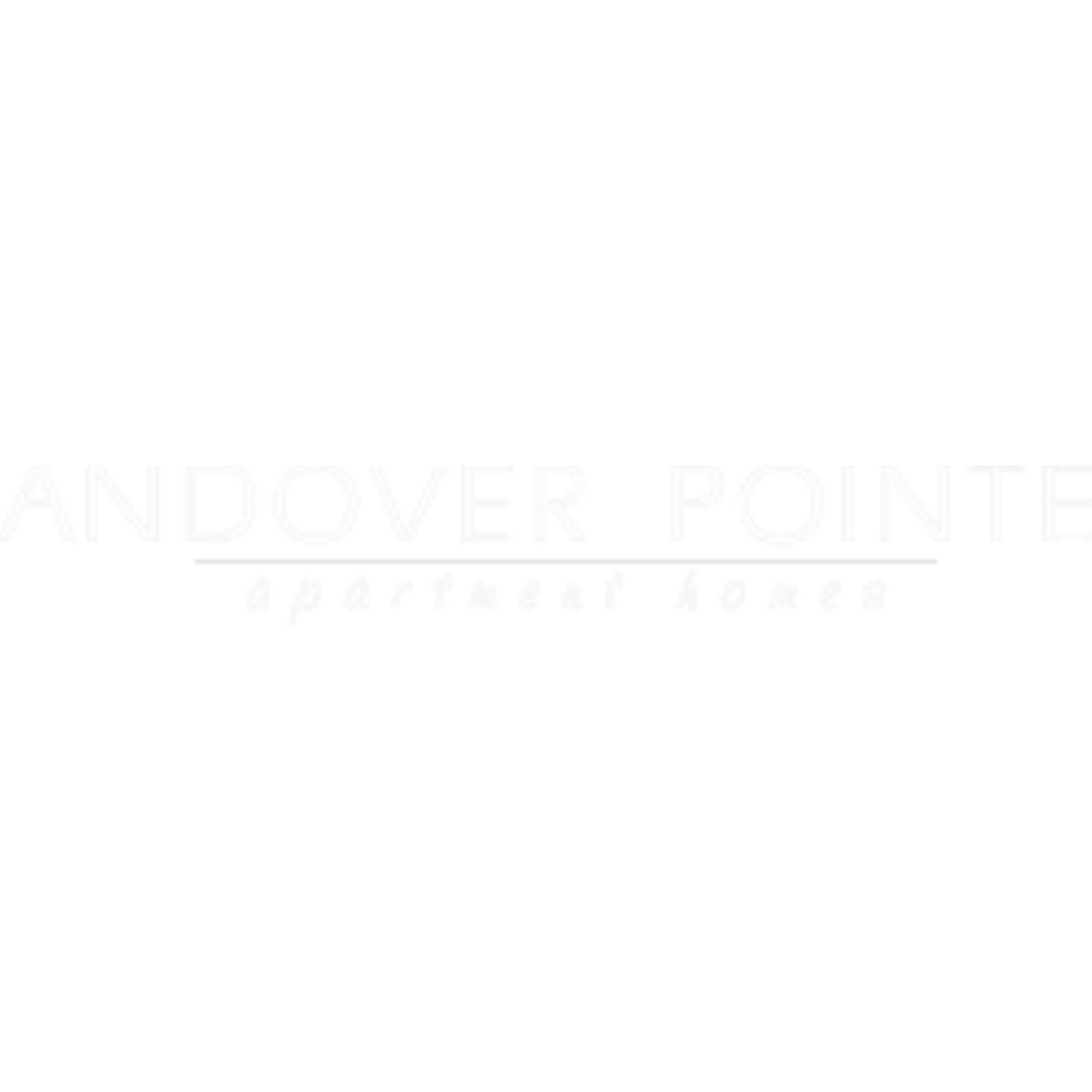 Andover Pointe Apartment Homes