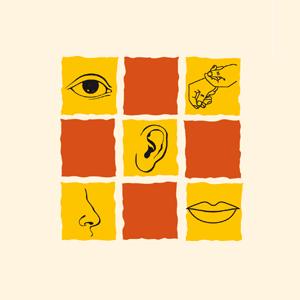 Praxis für Ergotherapie und Neurofeedback Andrea Andrae