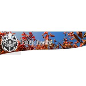 Bestattungen Pietät Bracht GmbH