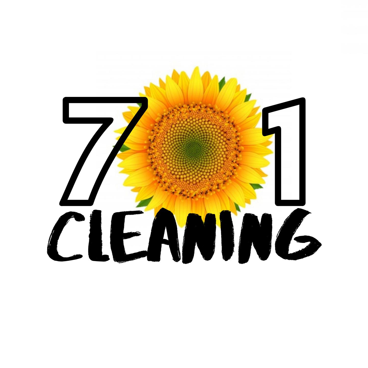701 Cleaning