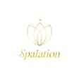 Spalation