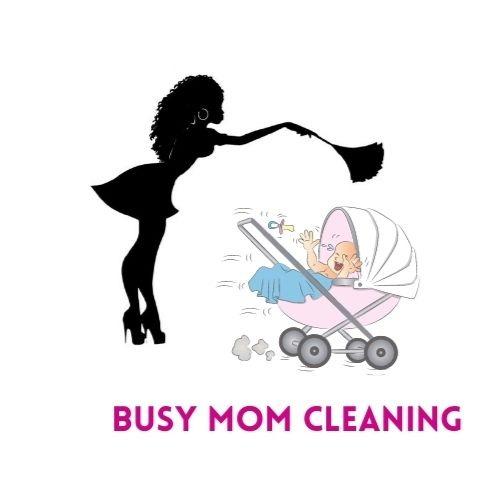 Busy Mom Cleaning