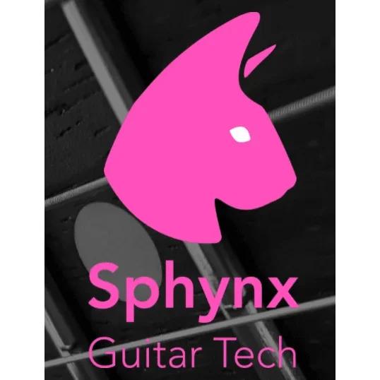 Randell Guitar Tuition & Repair