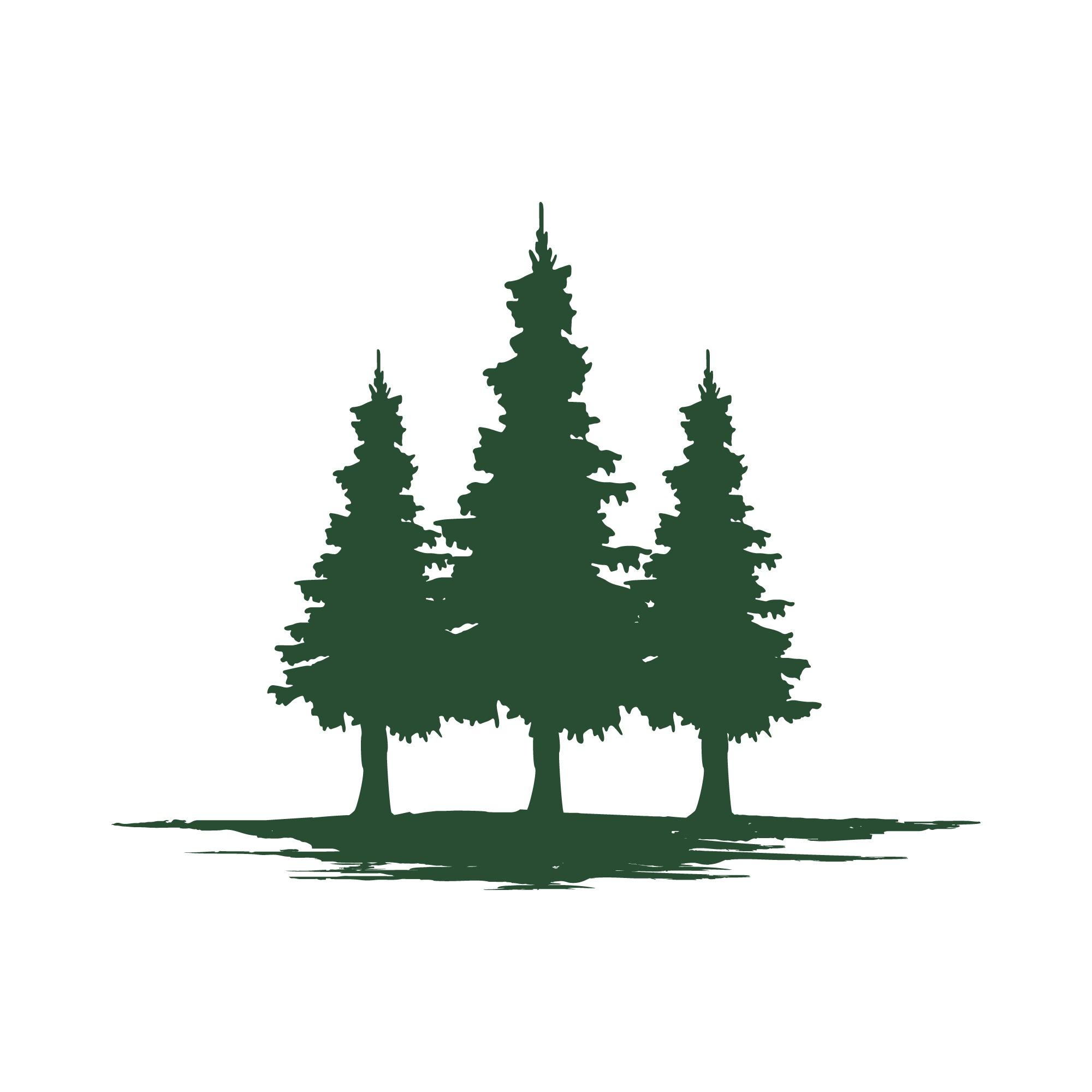 Carolina Pines Dentistry