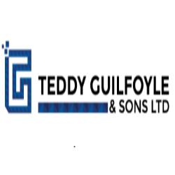 Teddy Guilfoyle & Sons Ltd